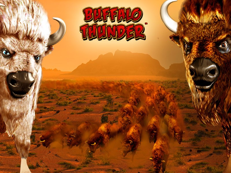 Buffalo Thunder 