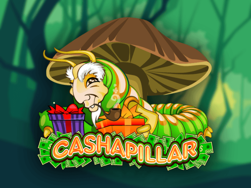 Cashapillar 