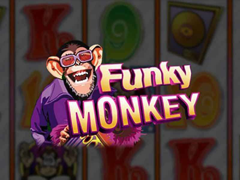 Funky Monkey 