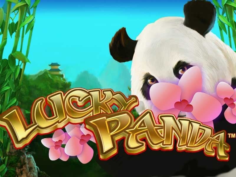 Lucky Panda 