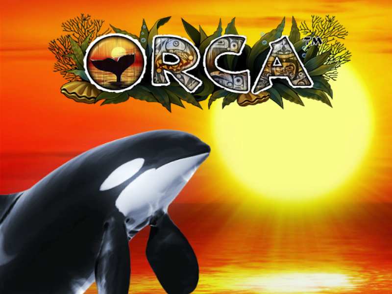 Orca 