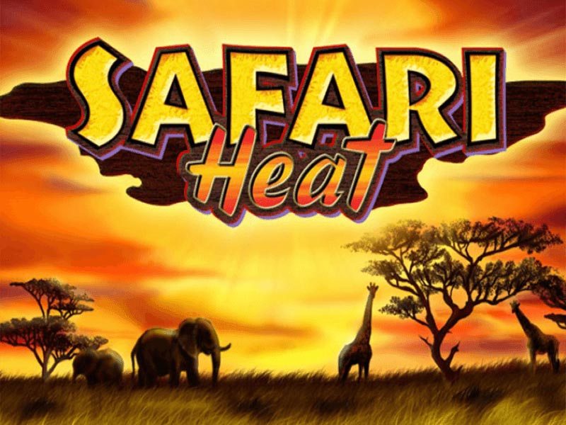 Safari Heat 