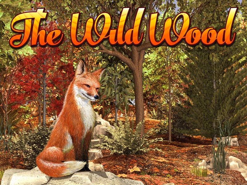 The Wild Wood 