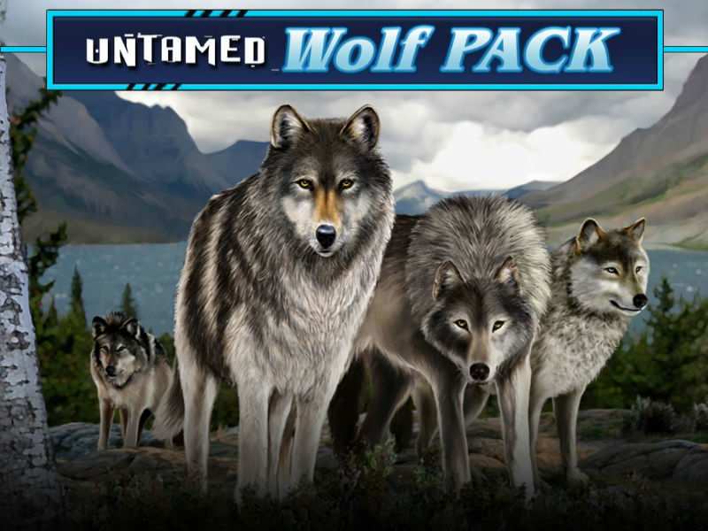 Untamed Wolf Pack 