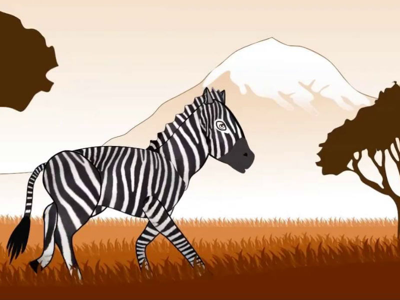 Zany Zebra 