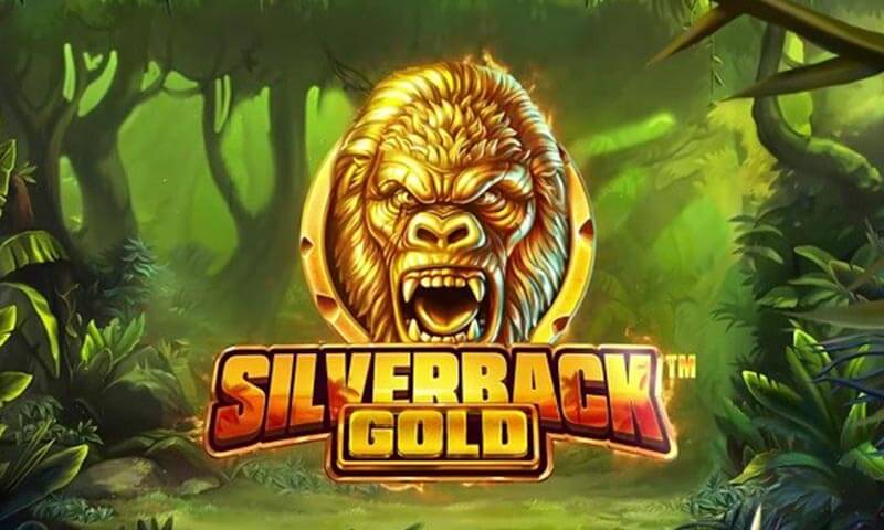 Silverback Gold