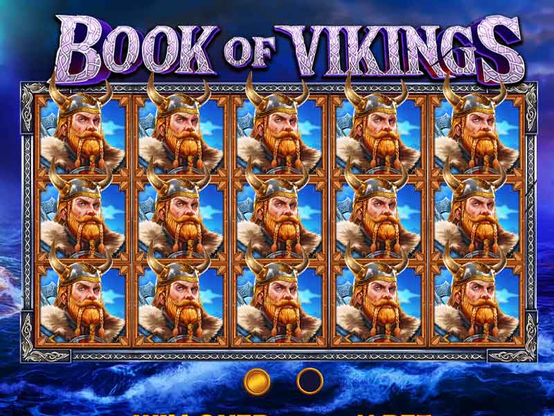 Book of Vikings