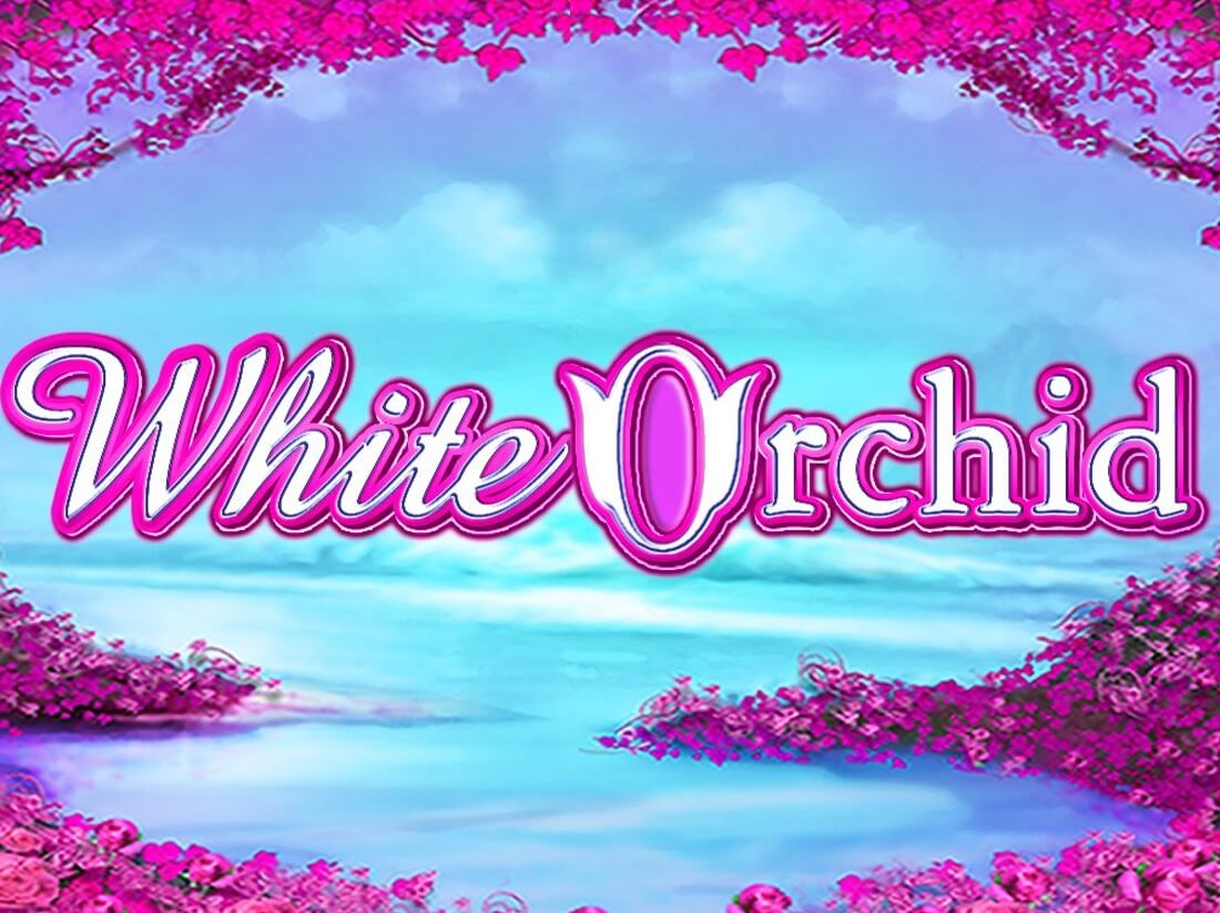 White Orchid