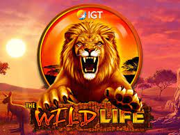 Wild Life